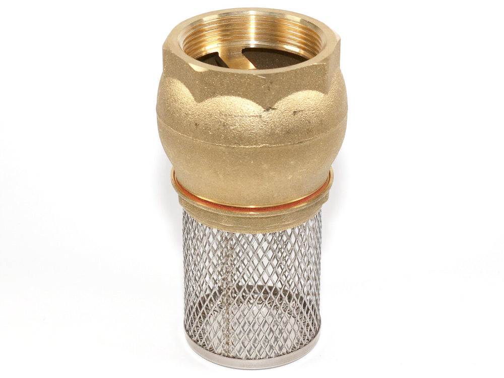 Saugkorb mit Rückschlagventil 2"
