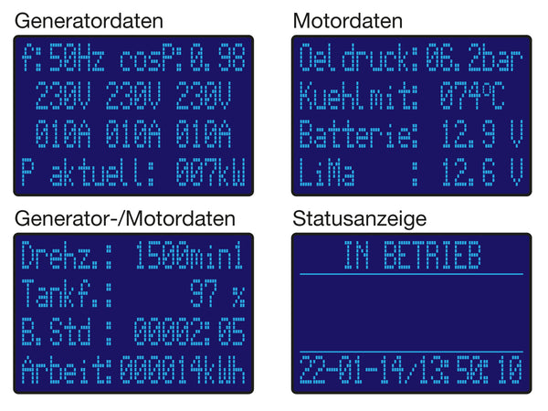 Elektronische Motorsteuereinheit RTG3s Anzeigebeispiele