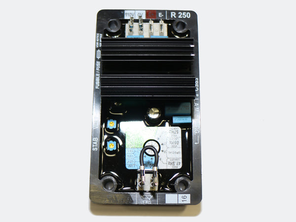Rotek R250 Ersatz zu Leroy Somer R250, R230/R230B