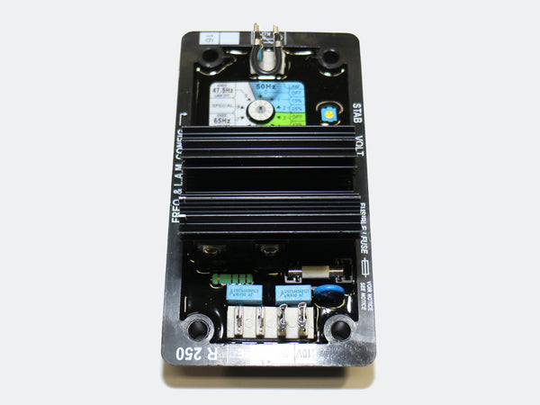 Rotek R250 Ersatz zu Leroy Somer R250, R230/R230B