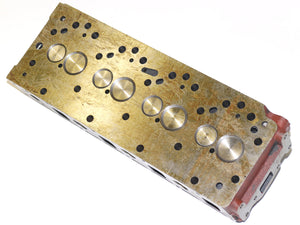 Huafengdongli Zylinderkopf Assembly für R4105ZD1