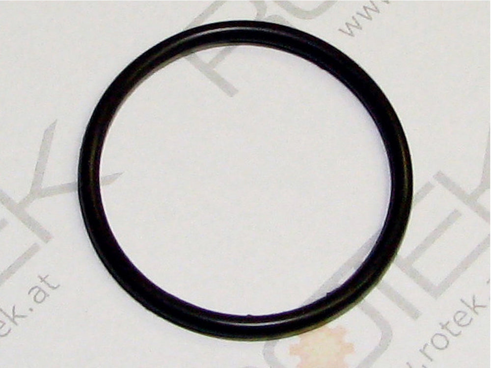 O-Ring Stösselstangendichtung