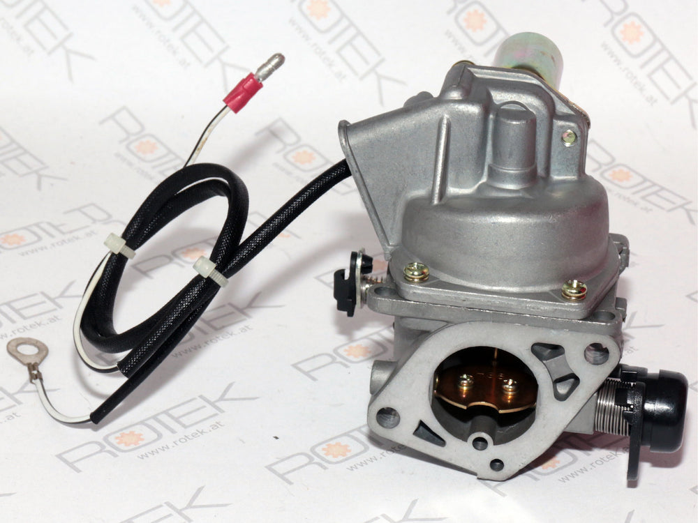 Vergaser passend zu EG4-2V-0614 2-Zylinder Benziner, Carburator Assembly 07/06 620-07500