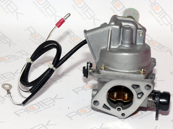 Vergaser passend zu EG4-2V-0614 2-Zylinder Benziner, Carburator Assembly 07/06 620-07500