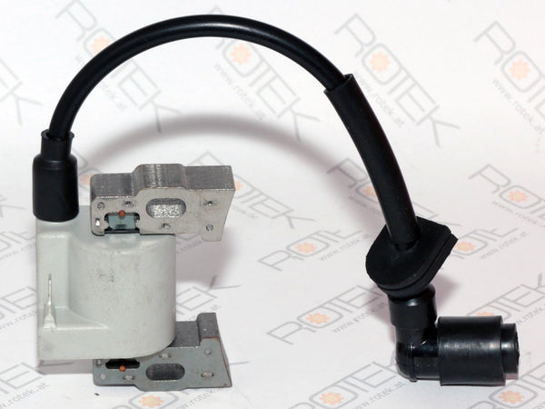 Zündspule Links zu EG4-2V-0614 2-Zylinder Benziner, Left ignition coil 12/16 620-12401