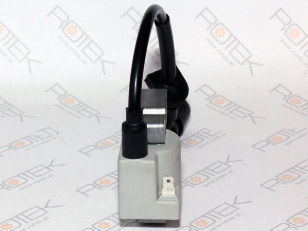 Zündspule Links zu EG4-2V-0614 2-Zylinder Benziner, Left ignition coil 12/16 620-12401