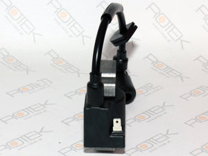 Zündspule Rechts zu EG4-2V-0614 2-Zylinder Benziner, Right ignition coil 12/23 620-12401