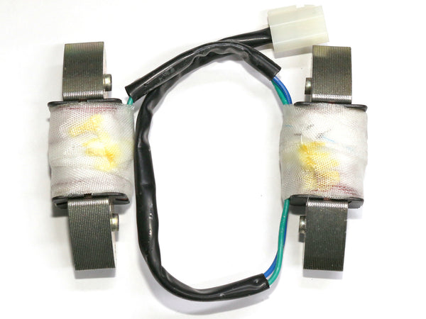 Lichtmaschine Benzin Schwungrad Spule Laden