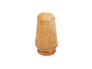 Gasballastfilter für Rotek Vakuumpumpe PM-VPV Serie