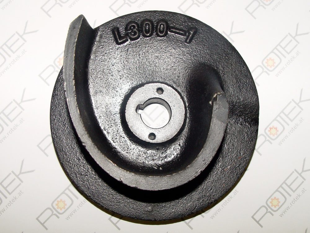 WPET-TCM-003kW-027m (CPE300-2MA) Impeller