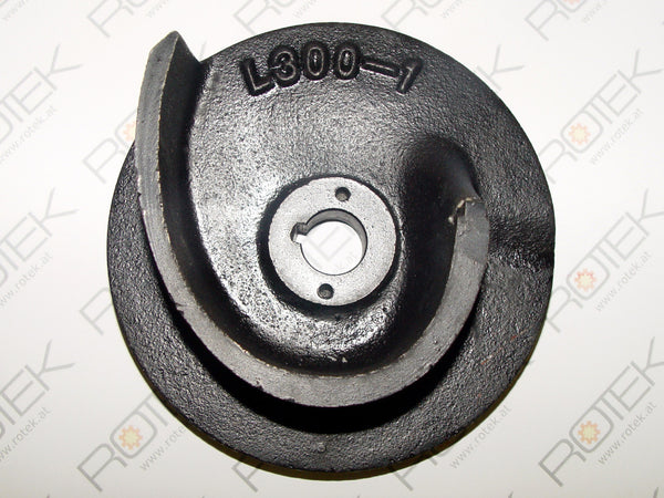 WPET-TCM-003kW-027m (CPE300-2MA) Impeller