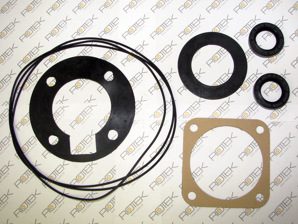 Dichtungssatz passend zu WPI SPP U3